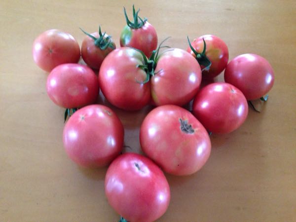 rblog-20160717214645-04.jpg