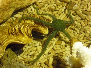 20141129(4).jpg
