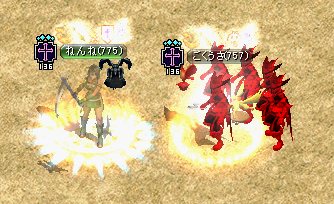 13.png