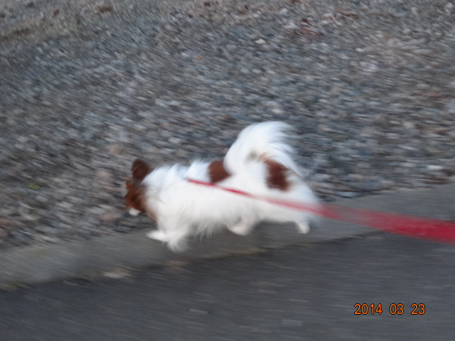 DSC00973.JPG