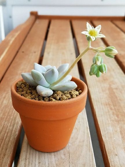rblog-20180430124221-08.jpg