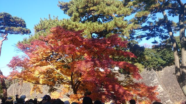 2014-12-06 13.07.30.jpg