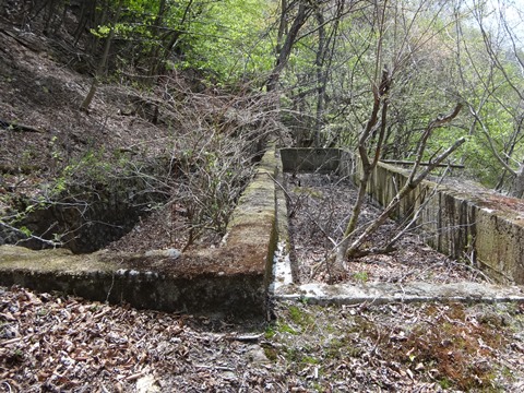 DSC05324.JPG