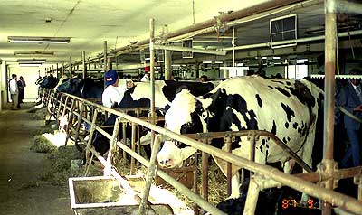 農場協議会での酪農学園大学視察