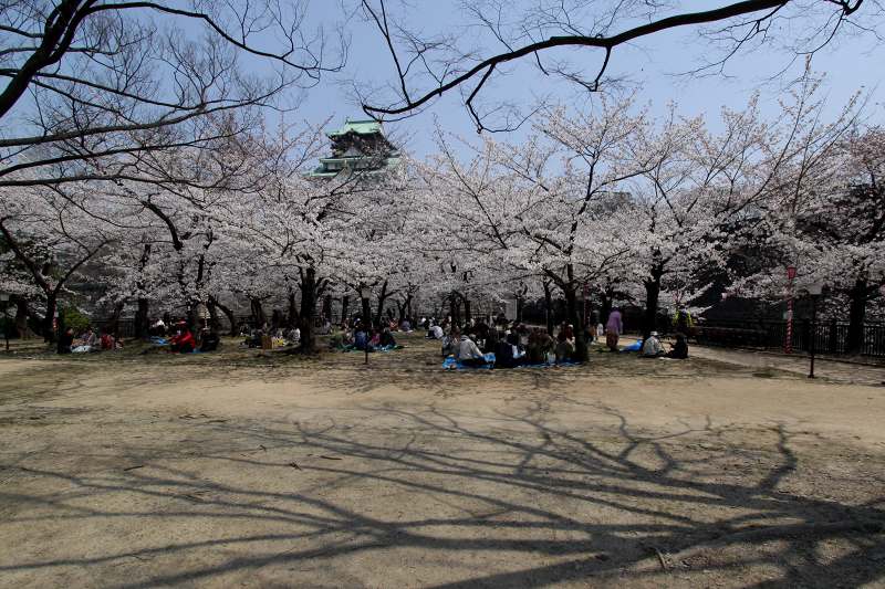 大阪ｊ城公園_9-2.jpg