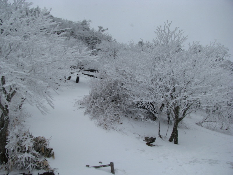 石鎚山