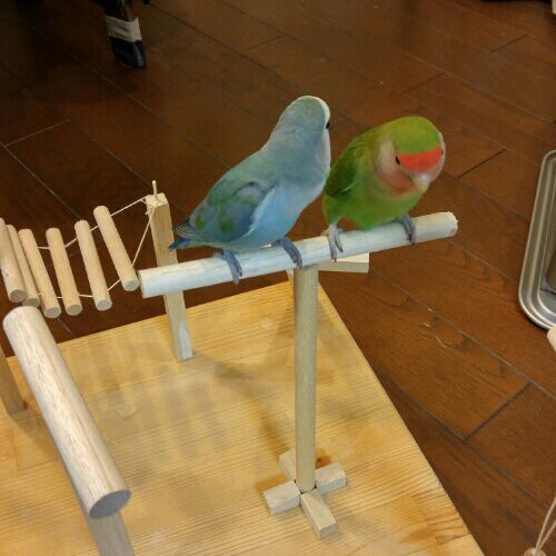 rblog-20170212221815-03.jpg