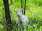 IMG_2610.JPG