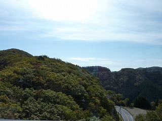 P1060264.jpg