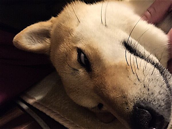 rblog-20150109085517-02.jpg