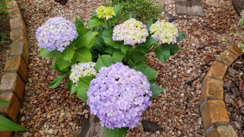 rblog-20180605094918-02.jpg