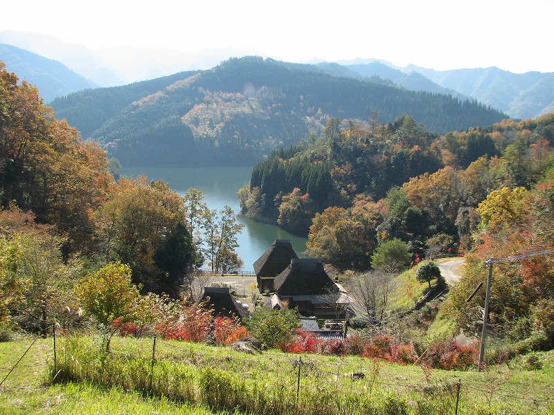紅葉と茅葺きの家