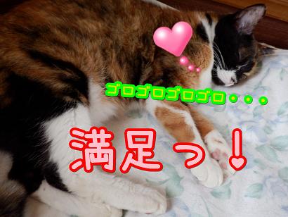 満足.JPG