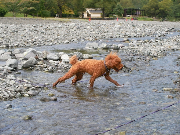 SANY0280_R.JPG