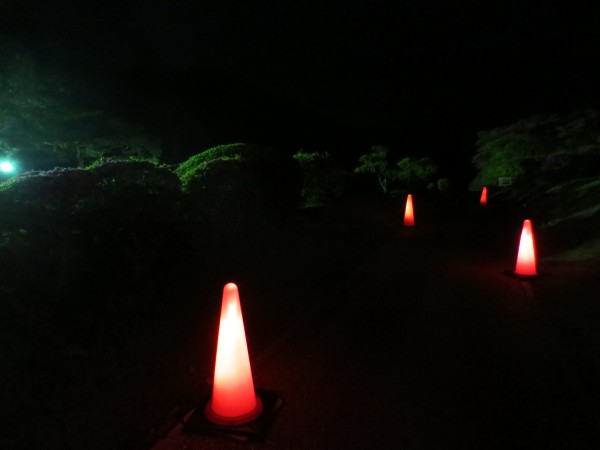 つつじライトアップ