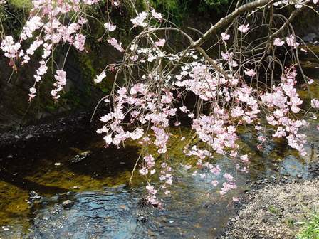 DSCN9546a.jpg