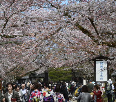 醍醐寺3