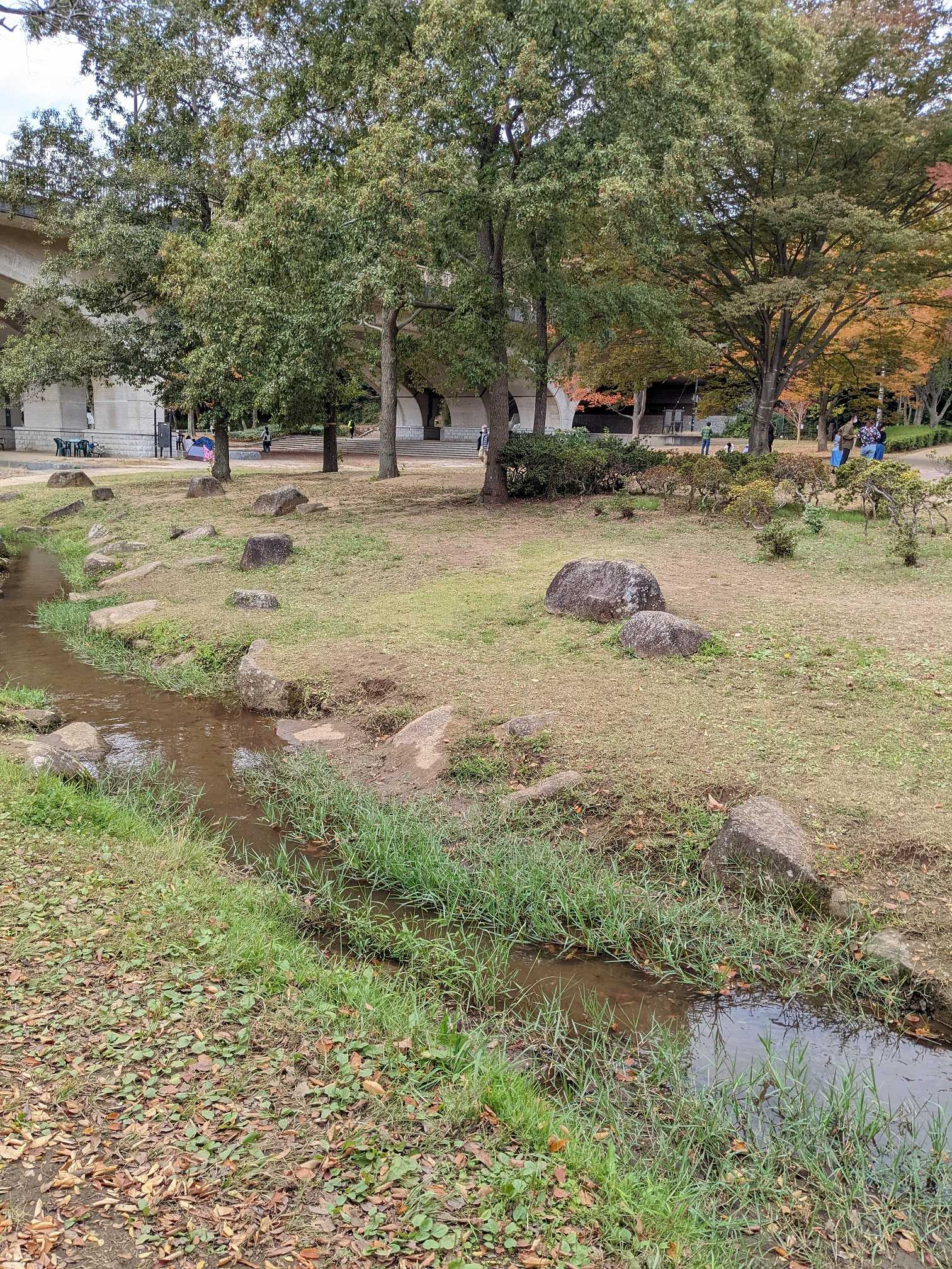 松戸市21世紀の森と広場　子どもが遊びやすい浅い小川