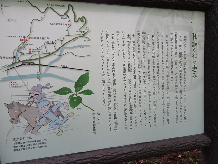 DSC06894_R.JPG