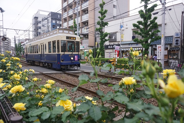 都電 7000形 & 9000形 薔薇の香りの 町屋駅前～町屋二丁目5