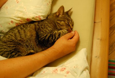 sleepingjumpina.JPG