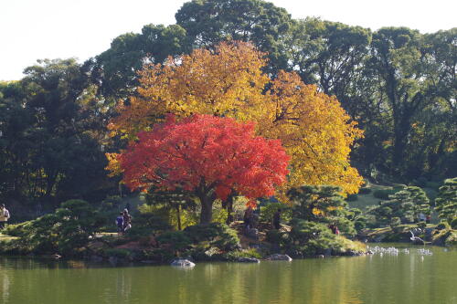 清澄庭園