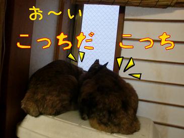 こっち.JPG