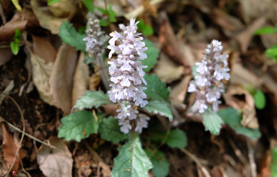 2016 04 15_3192.jpg