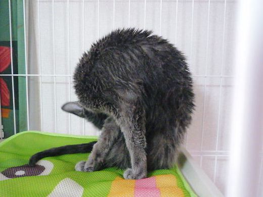 2014年10月12日_P1200523.jpg