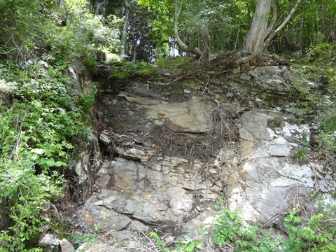 DSC06169.JPG