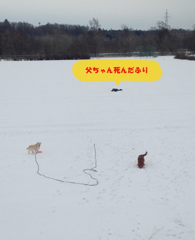 しんだふり