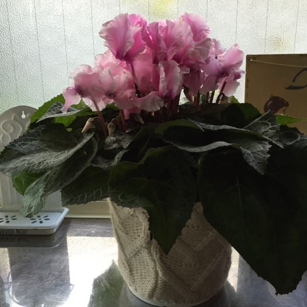 rblog-20160111210907-02.jpg