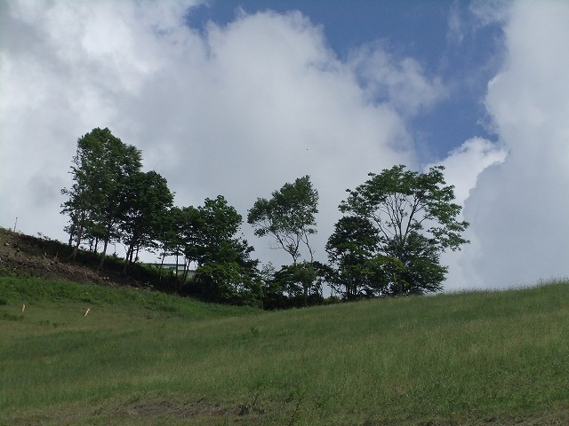 DSCF2296.jpg