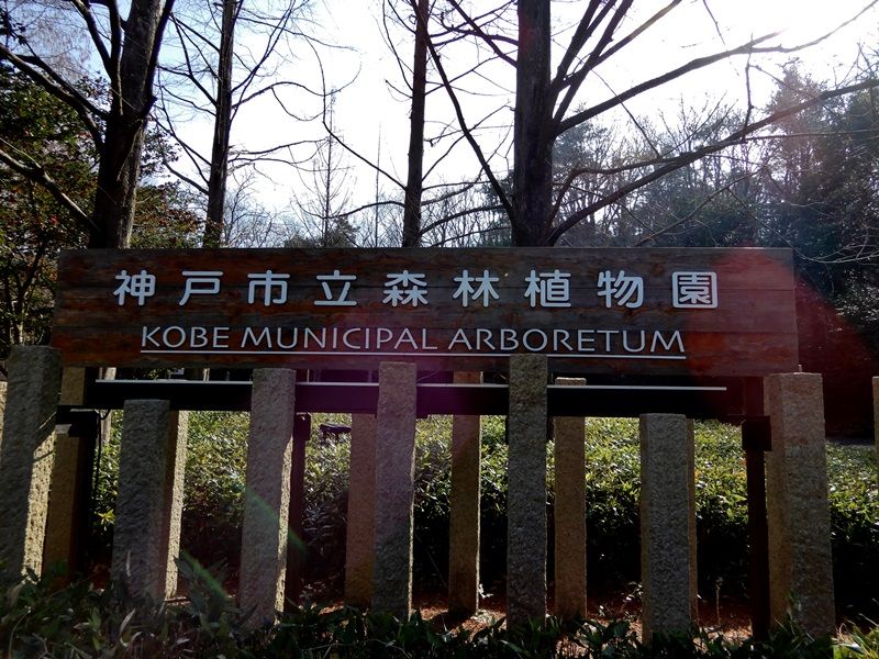 正門前3