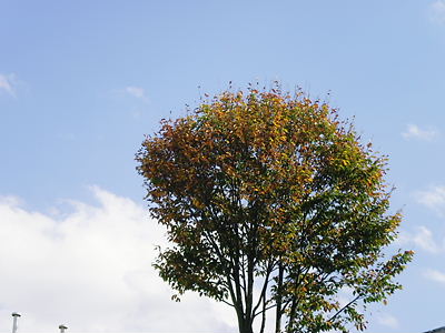 2012_1101_115707-SANY0005.JPG
