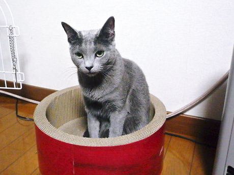2014年03月31日_P1180090.jpg