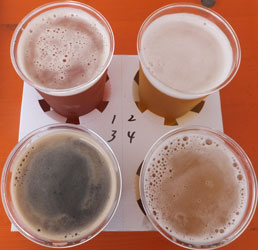 CraftBeerG9
