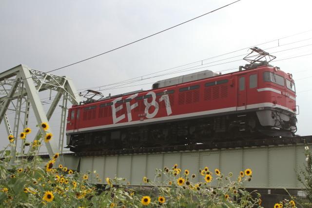 EF65 1118＆EF81 95 ダブル虹色 夏休みプレゼント3