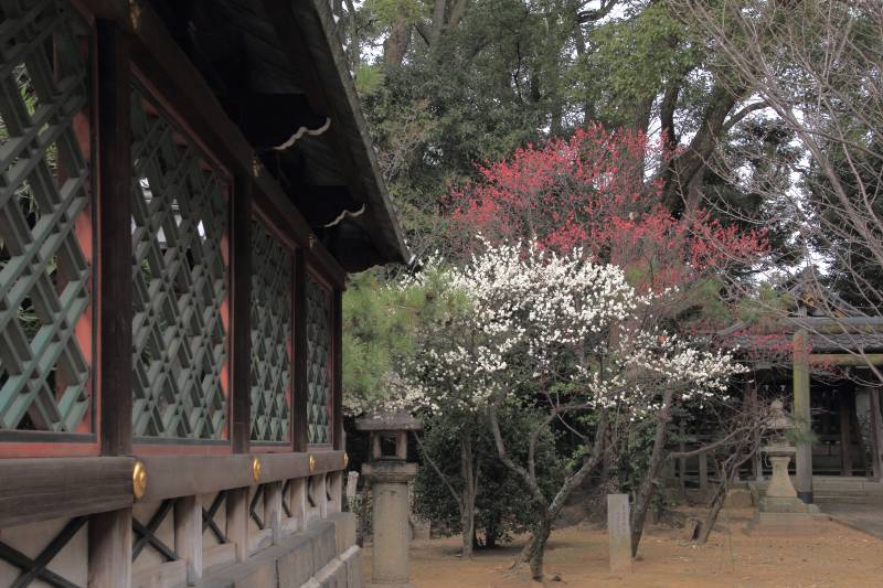 御香宮神社_008.jpg