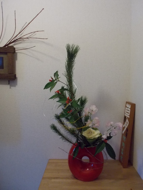 DSCN1003 (480x640).jpg