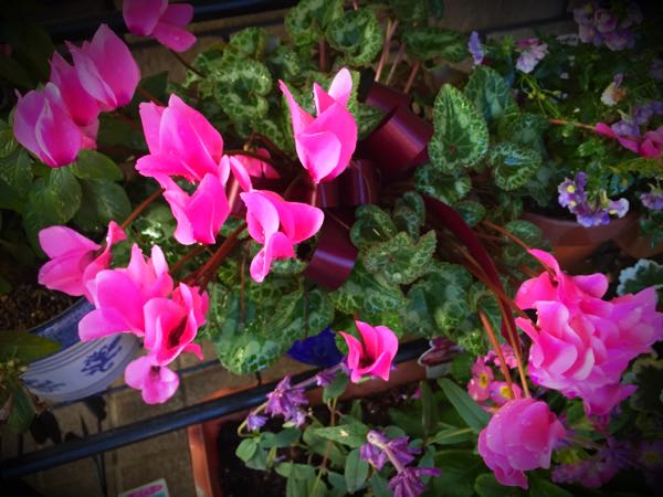 rblog-20151229110936-02.jpg