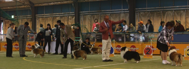 2012-10-7　FCI埼玉インター.JPG
