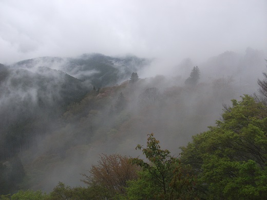 吉野山.jpg
