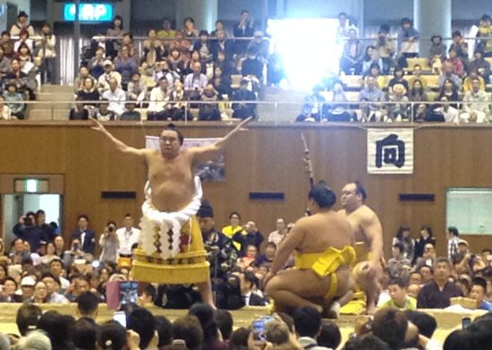 直売安い 大相撲 横綱 日馬富士 伊勢ヶ濱部屋 とっくり 伊勢ヶ濱部屋