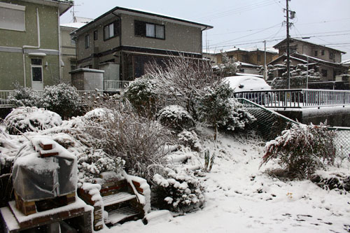 雪の朝　28.1.19-2_edited-1.jpg
