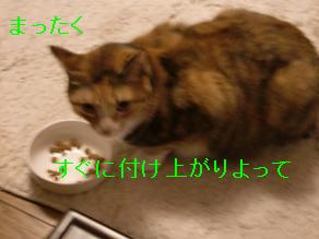 福つけあがり.JPG