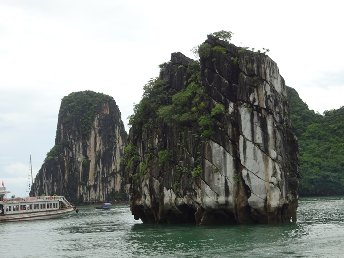 DSC09516_R.JPG