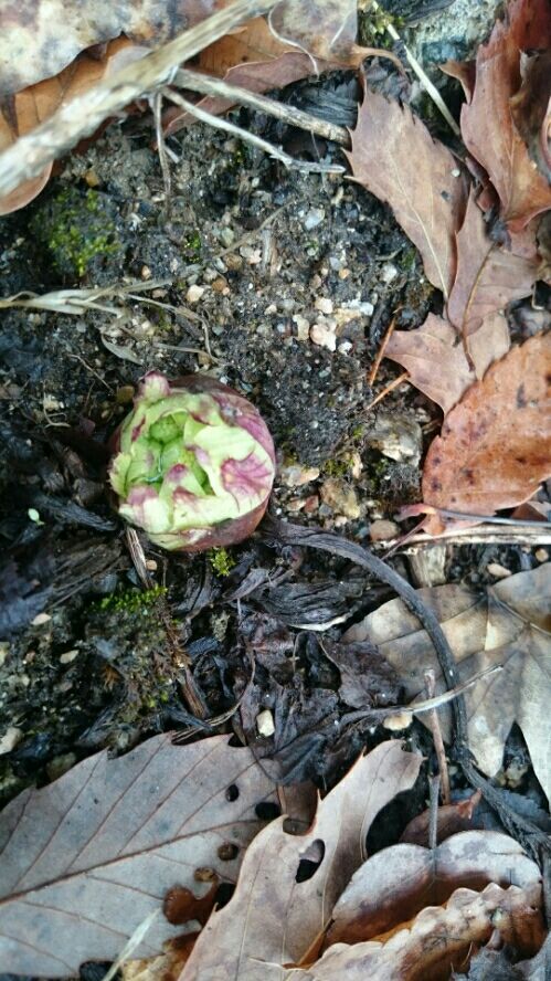 rblog-20160303215511-01.jpg