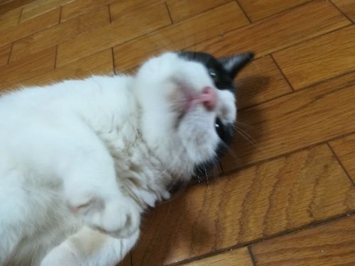 rblog-20170923162331-00.jpg