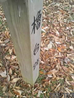 櫓跡４